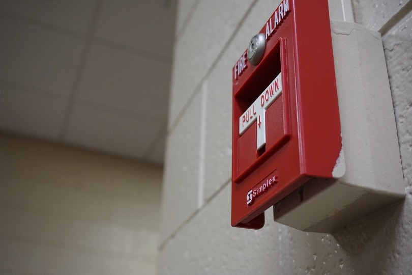 fire alarm on a wall