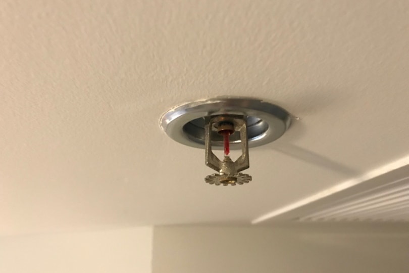 fire sprinkler