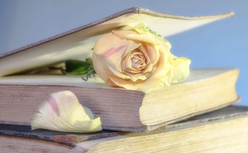 flattening flower with a book