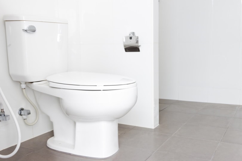 flush toilet in the bathroom