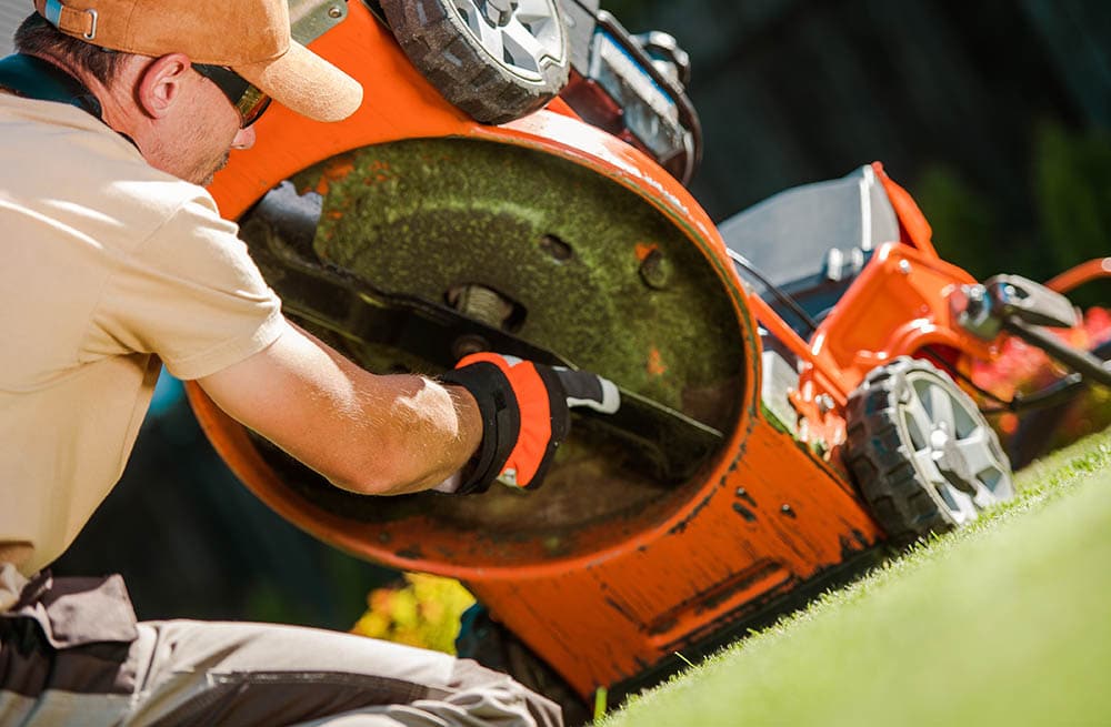 Gardener checking lawn mower blades
