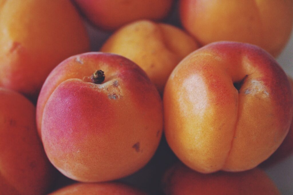 harogem apricot