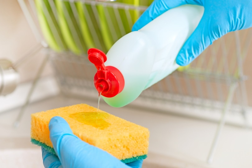 holding dishwashing liquid and sponge