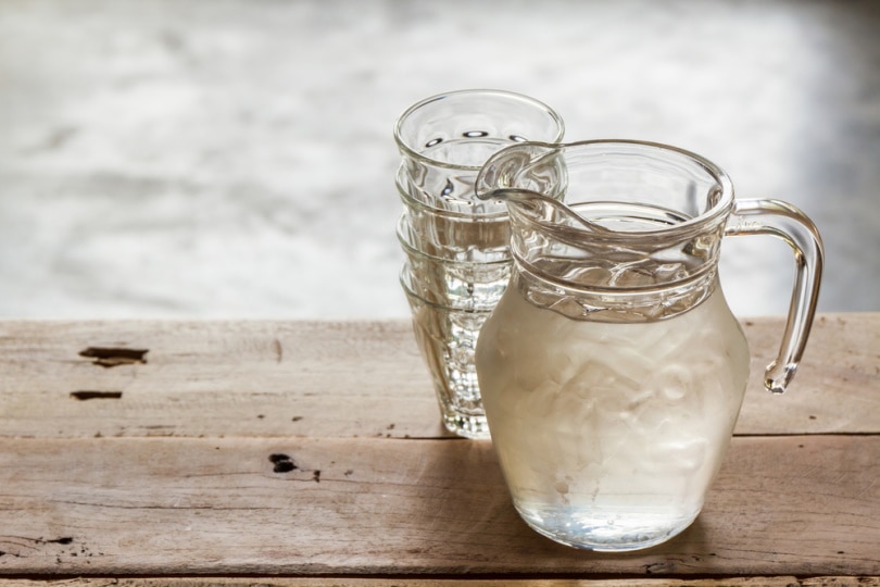 ice cold water in the pitcher