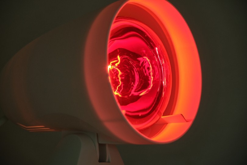 infrared lamp