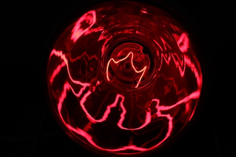 infrared light