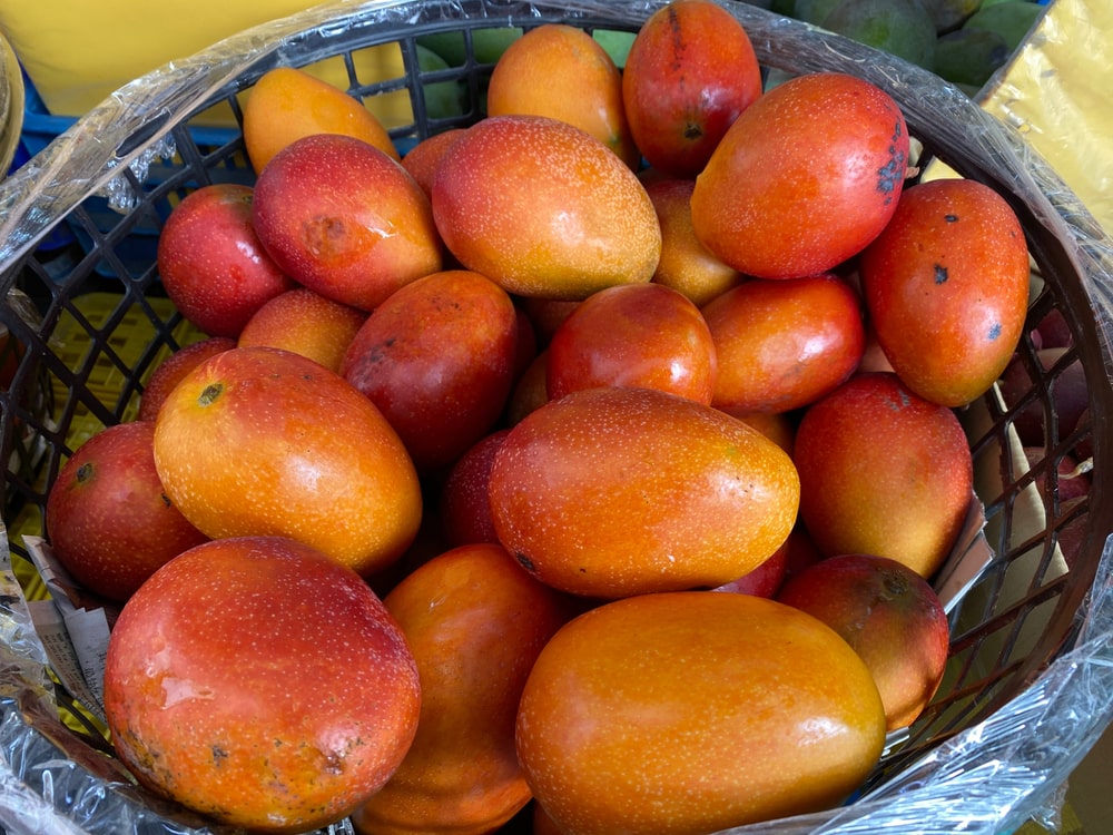 irwin mango
