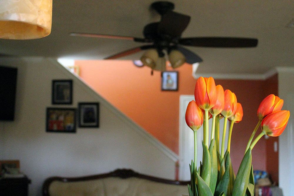 living room with orange fllowers and wall_sandrafdzh_Pixabay