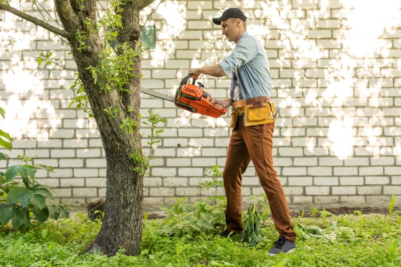 man cutting tree using chain saw