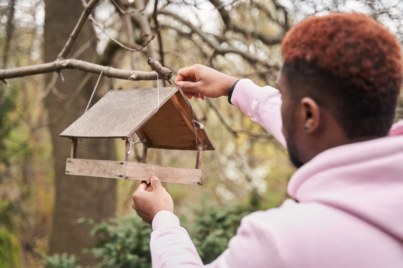 man holding bird feeder in the tree