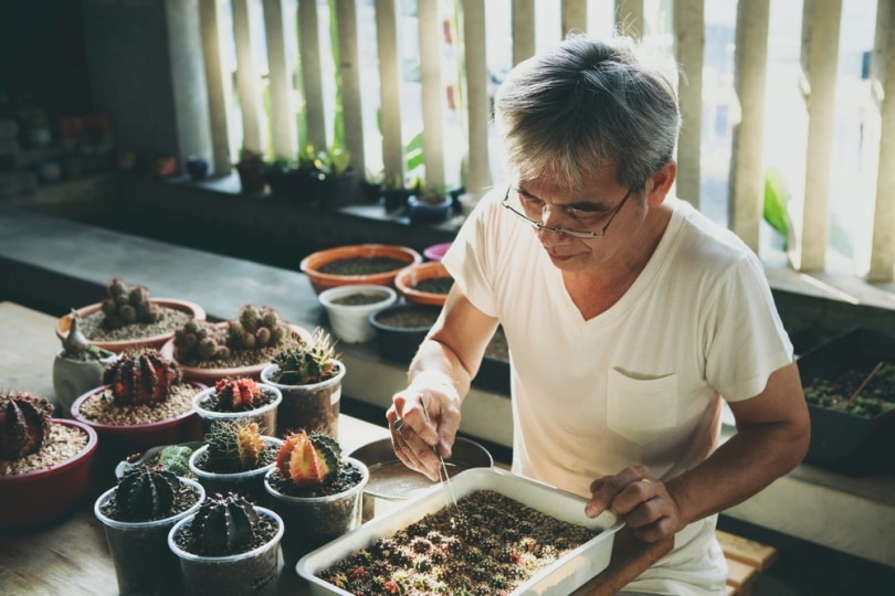 man planting cactus