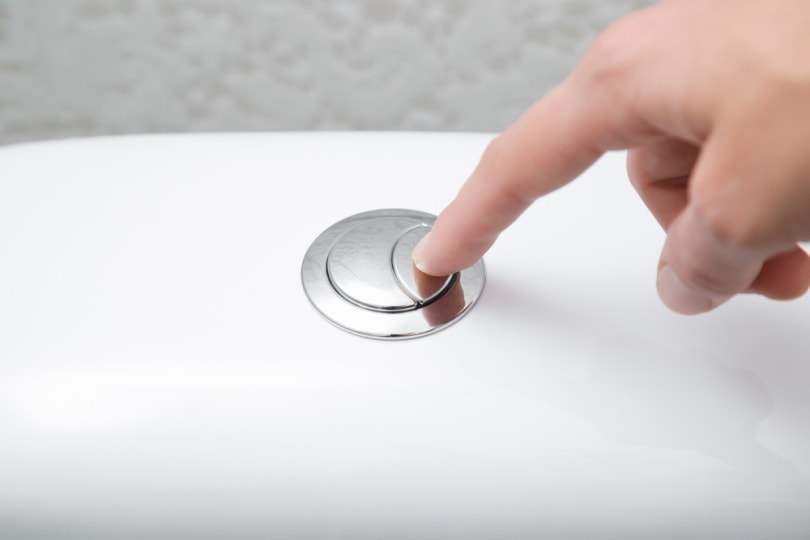 man pushing button on dual flush toilet