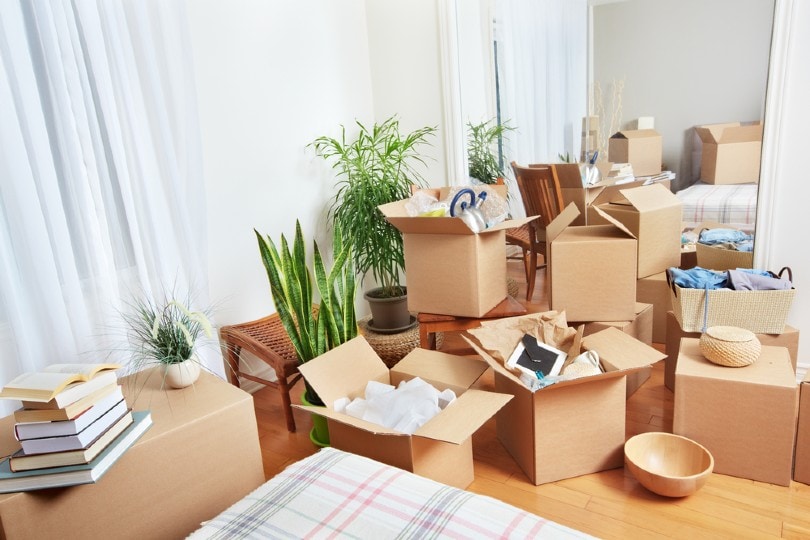 moving boxes to a new house