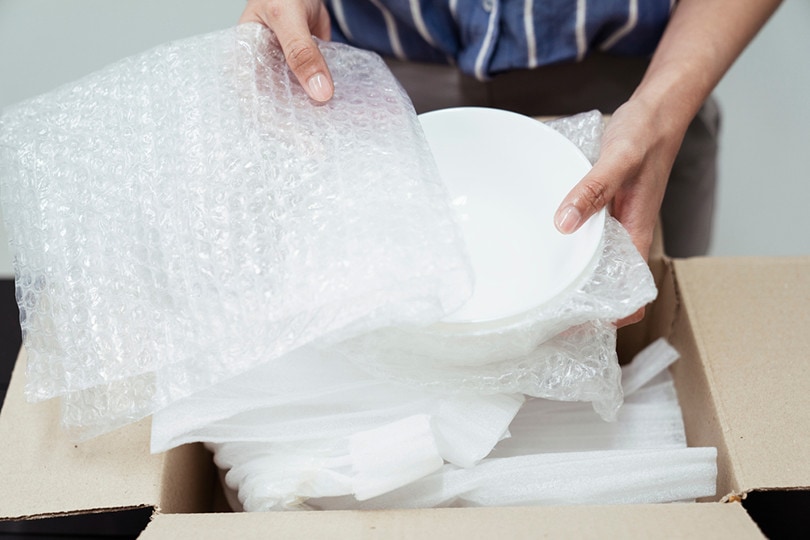 packing dishes plate