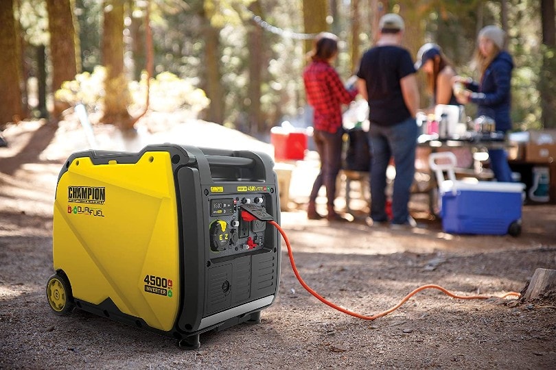 portable generator used in the woods