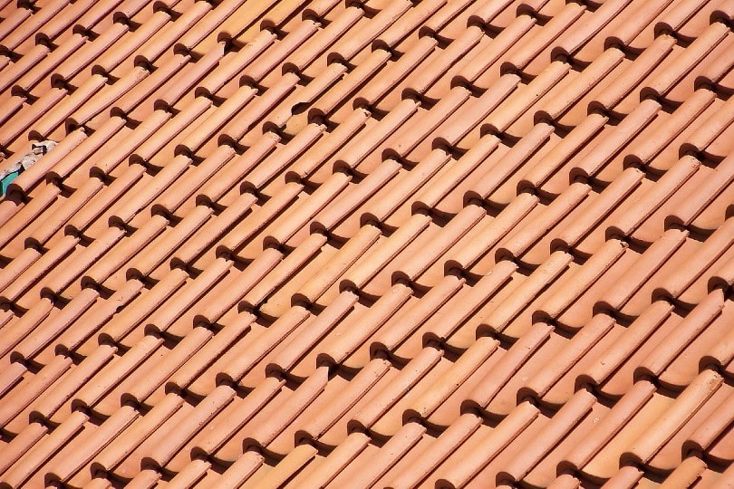 roof tiles