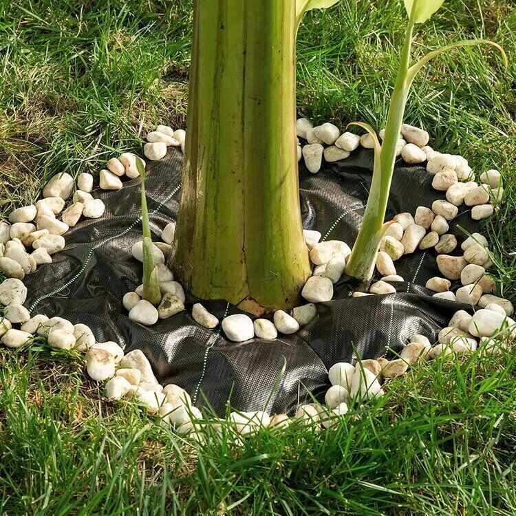 plastic weed barrier