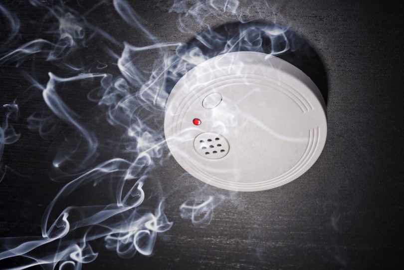 smoke alarm with white smoke