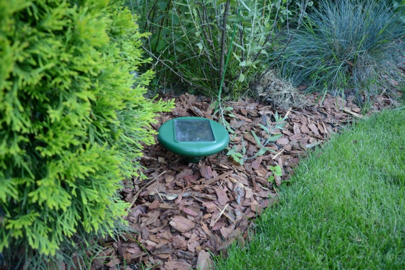 sound repeller in the garden