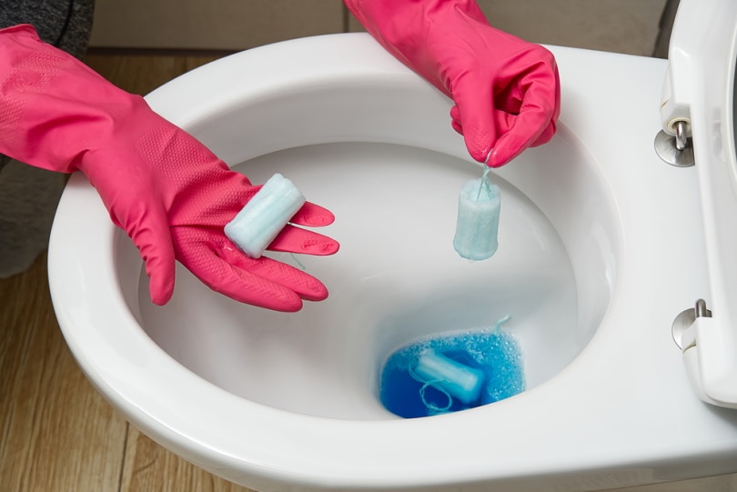 throwing tampons in toilet bowl