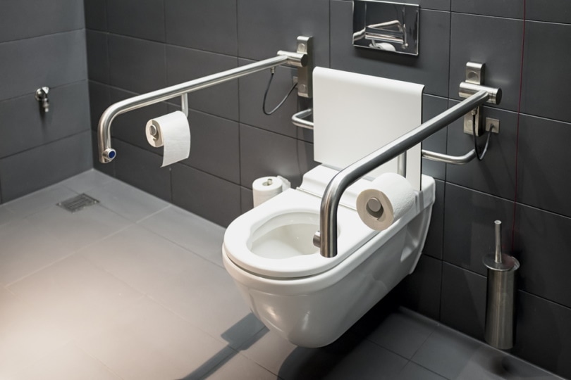 toilet for disabled