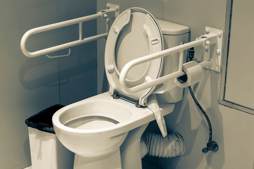 toilet for disabled