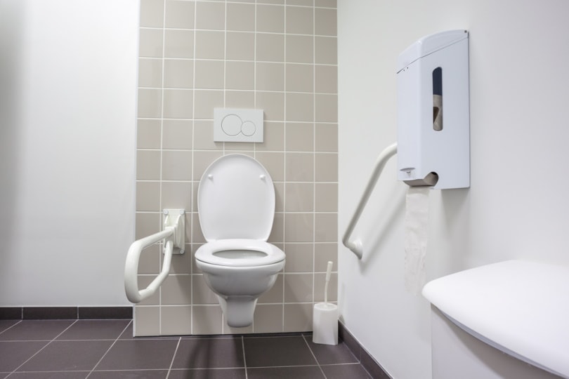 toilet for disableed