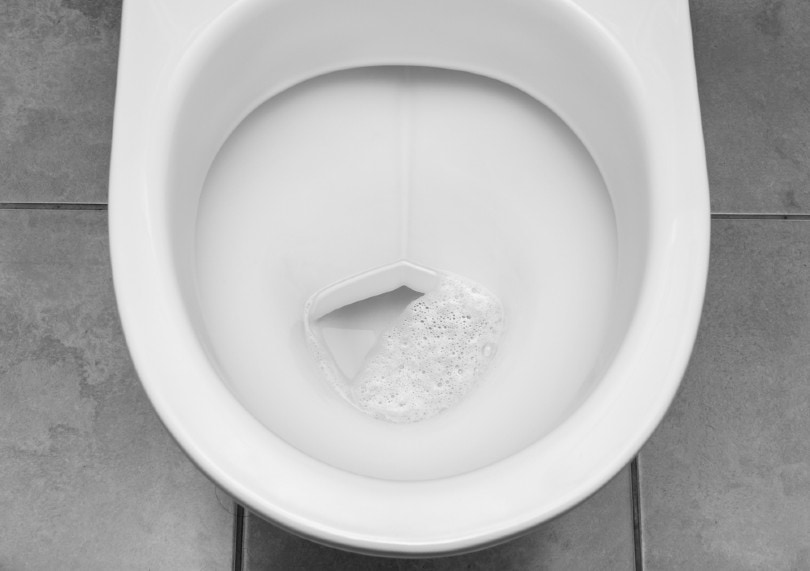 water bubbling in toilet