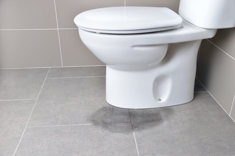 water leakage from toilet