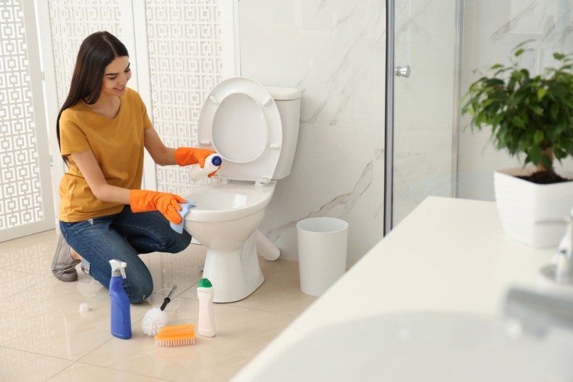 woman cleaning toilet