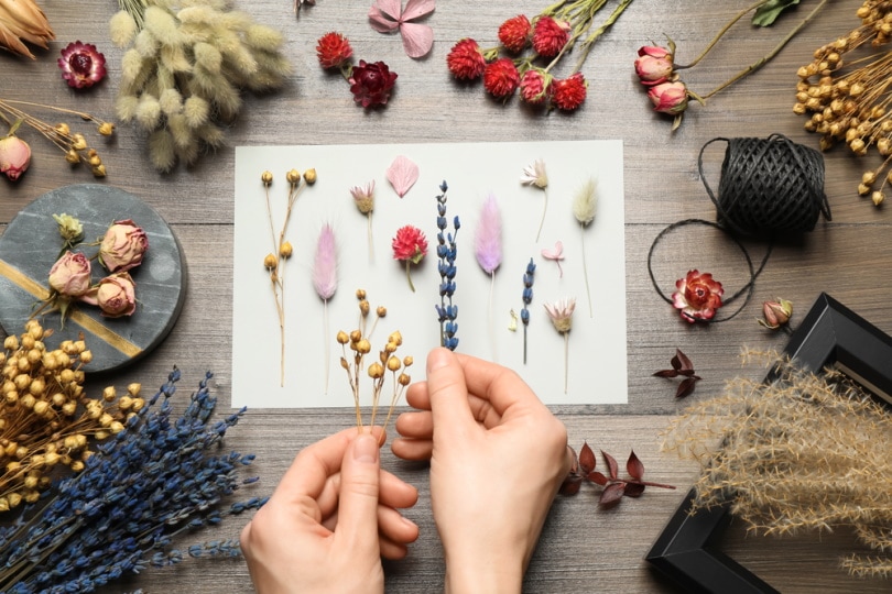 woman doing flower preservation