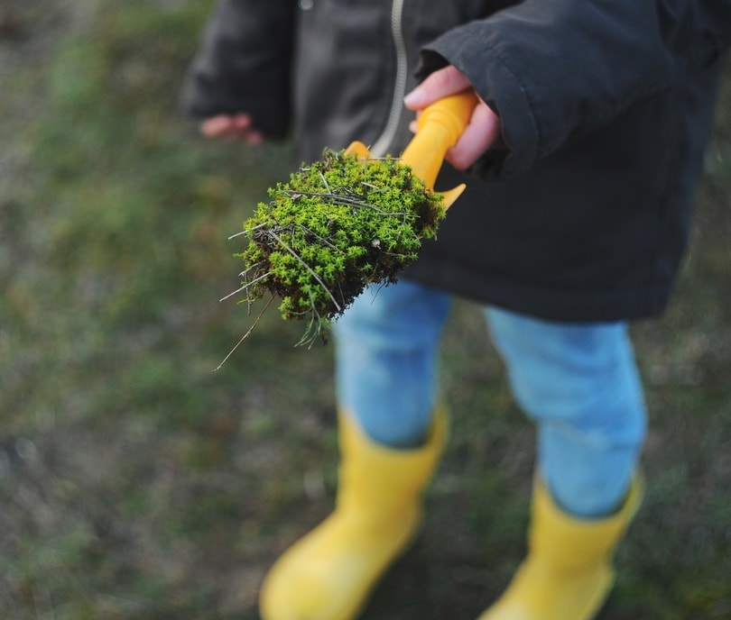 woman holding shovel with moss