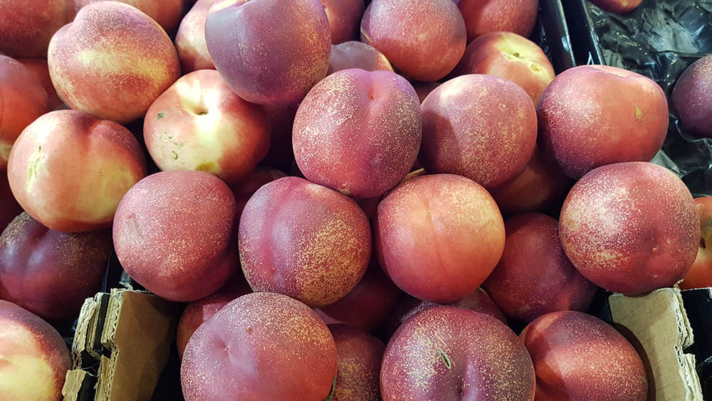 Arctic rose nectarine