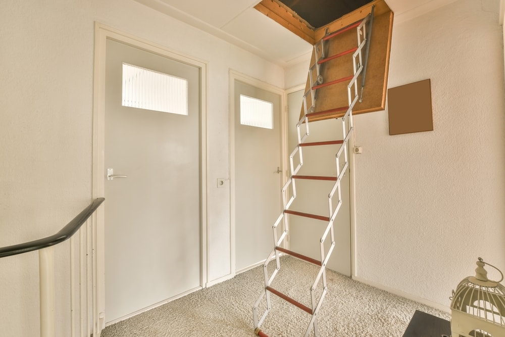 Attic ladder