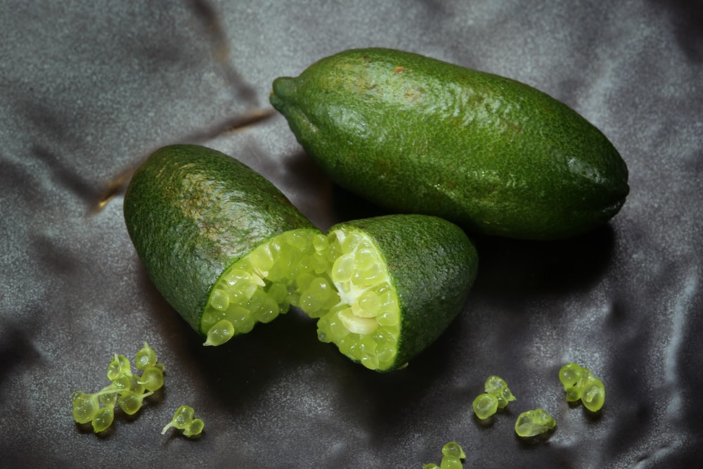 Australian Finger Lime