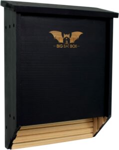 BIGBATBOX