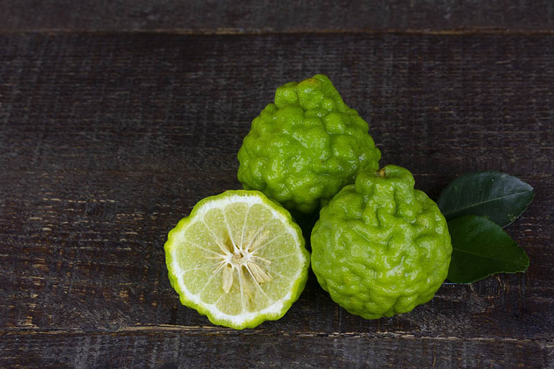 Bergamot Oranges