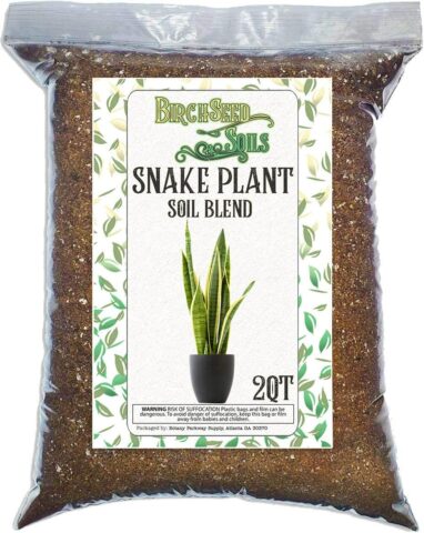 BirchSeed Soils Snake Plant Soil Mix