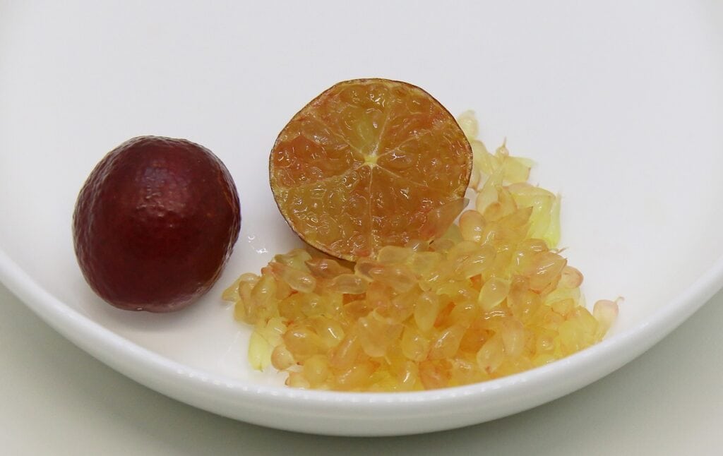 Blood Lime