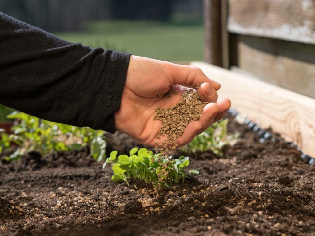 Bone Meal Soil
