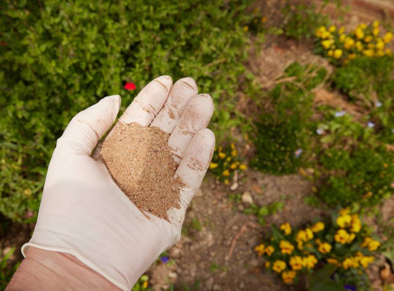 Bone Meal Soil