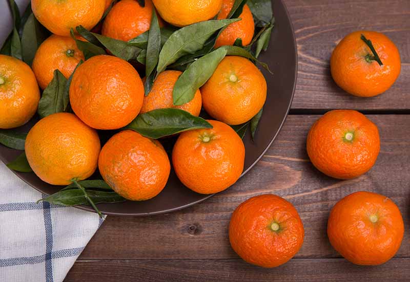 Bunch of tangerines