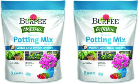 Burpee Premium Organic Potting Mix