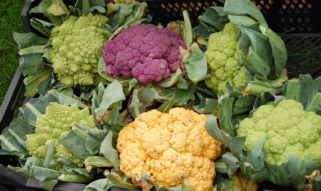 Cauliflower