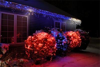 Christmas Shrubbery