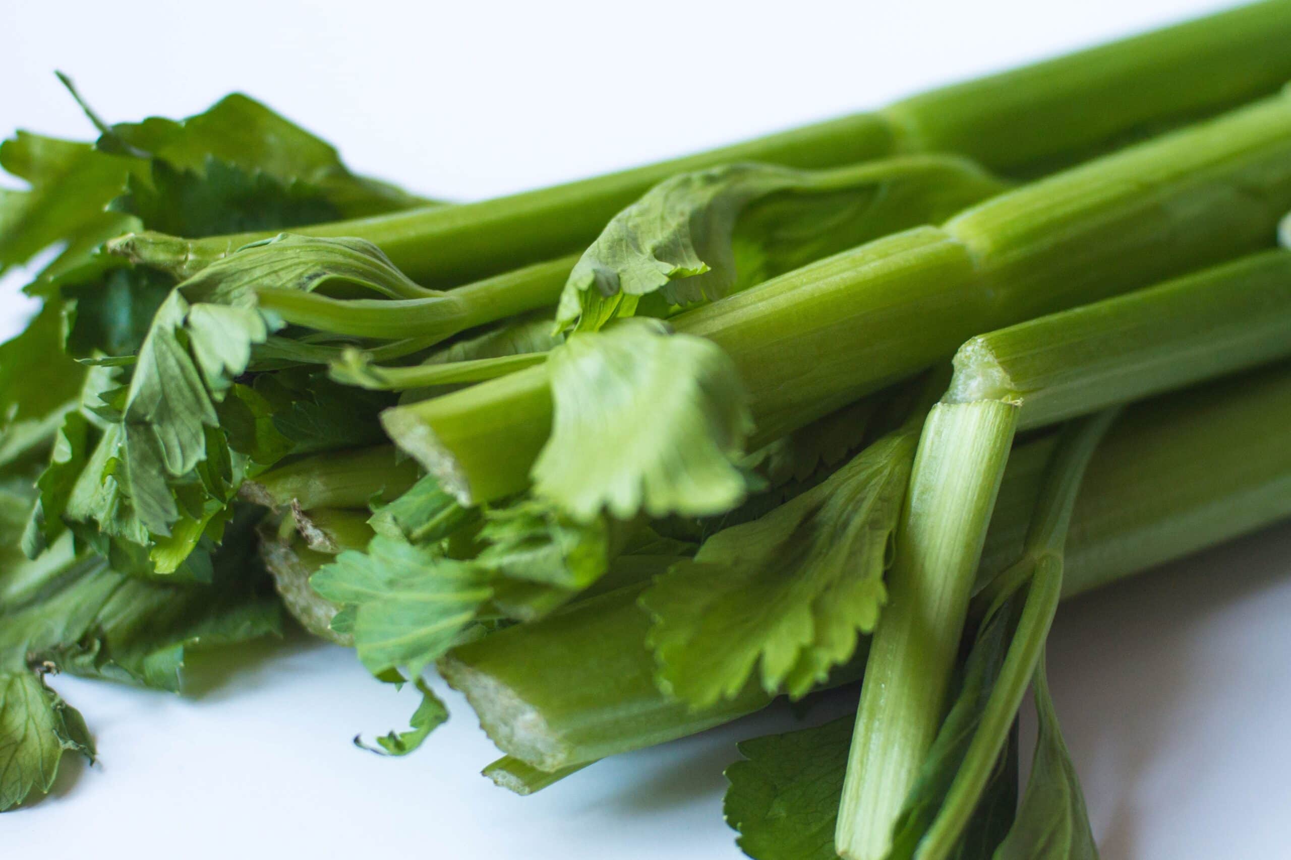 Conquistador Celery