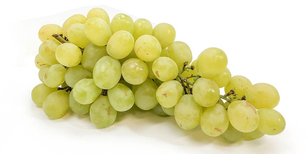 Cotton candy grape