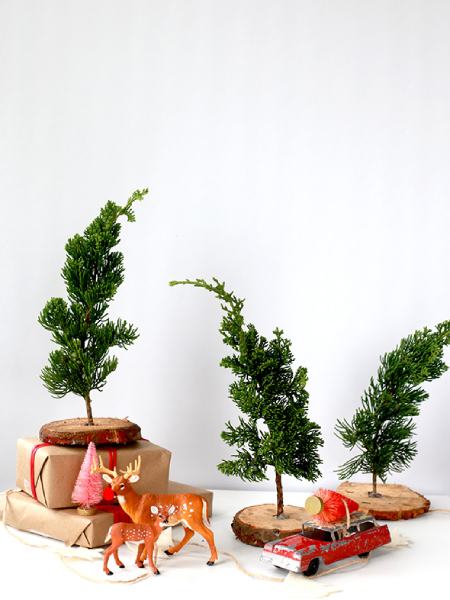 DIY FRESH MINI CHRISTMAS TREES