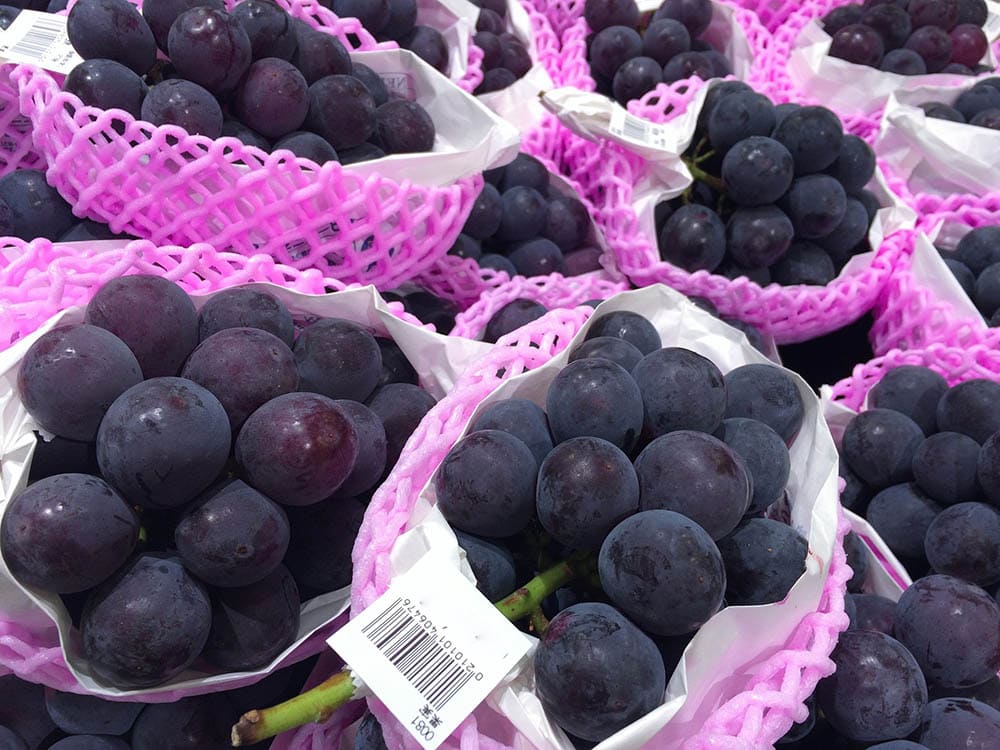 Dark purple kyoho grapes