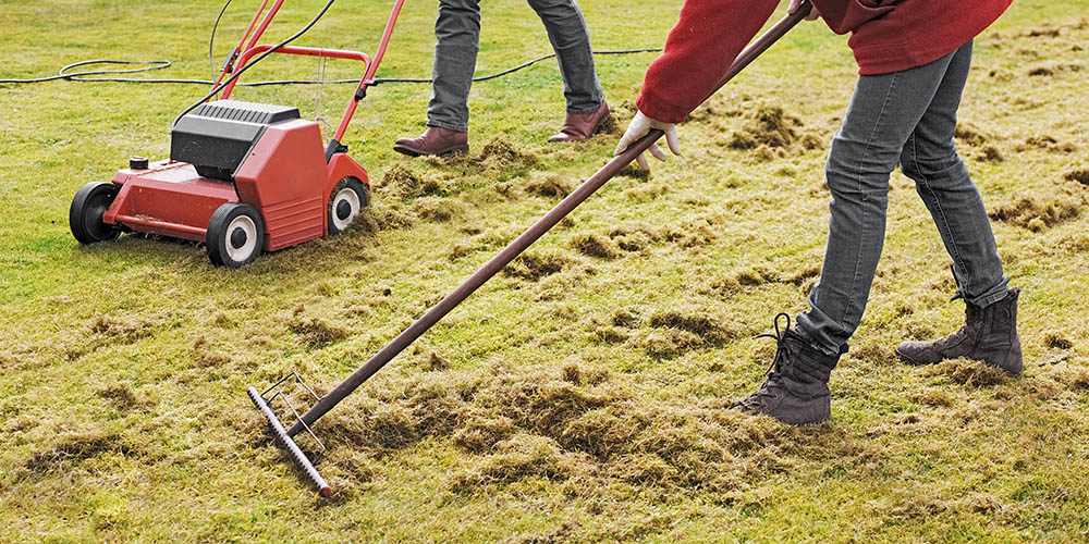 Dehatching the lawn